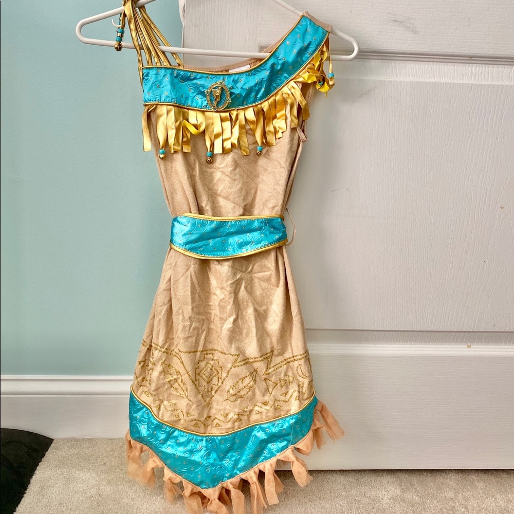 Disney Pocahontas costume